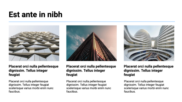 Presentation-slide
